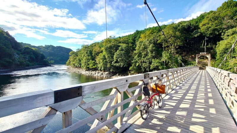 Cycling Tour at Uji's Matcha Green Tea Fields and Heritage - Final Thoughts