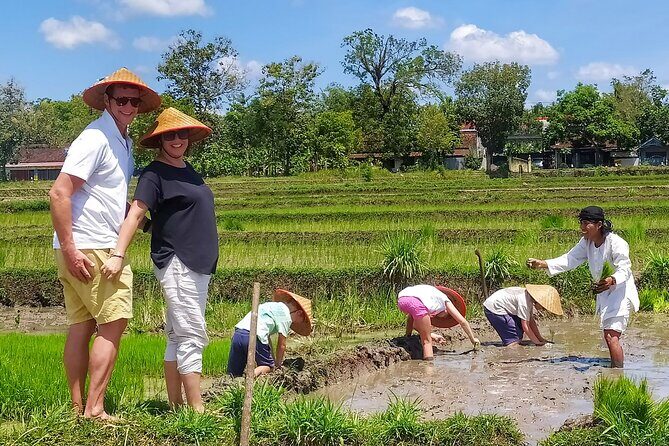 Cycling Tour in Yogyakarta with Lunch 3-Hour - Why This Tour Works for Travelers