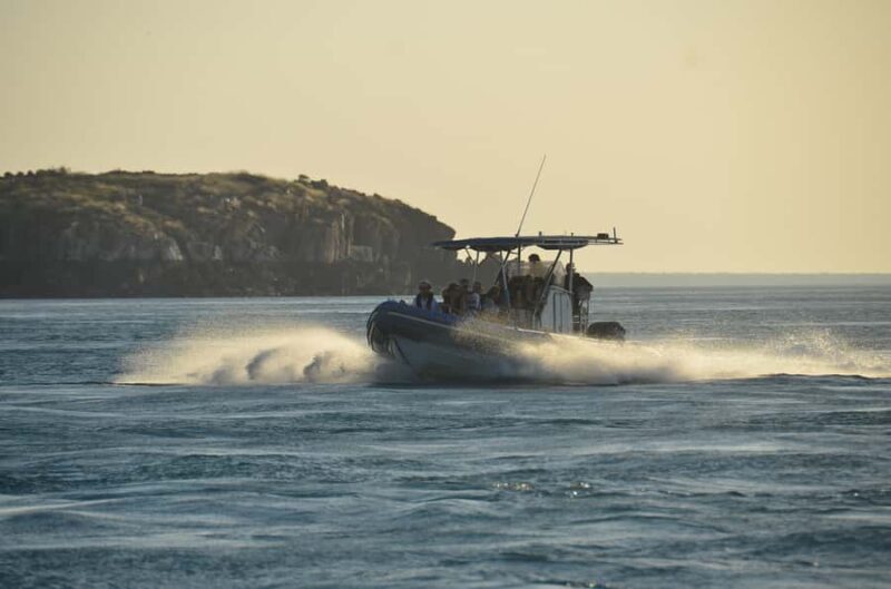 Cygnet Bay Island Explorer Scenic Cruise Experience - Key Points