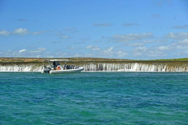 Cygnet Bay Unique Tidal Waterfall Reefs Scenic Cruise - Who Should Consider This Tour?