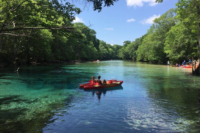 Cypress Springs Eco Adventure - Who Will Love This Tour?