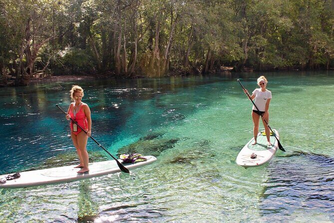 Cypress Springs Eco Adventure - FAQs
