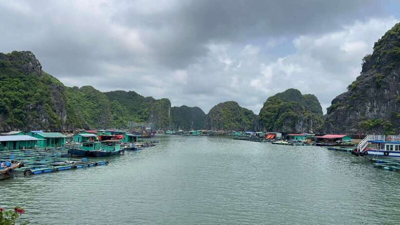 Da Lat Bidoup Nui Ba Jungle Trekking Tour With BBQ Camping - Final Thoughts: Is This Tour Worth It?