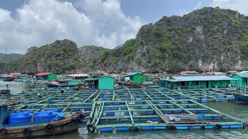 Da Lat Bidoup Nui Ba Jungle Trekking Tour With BBQ Camping - FAQ