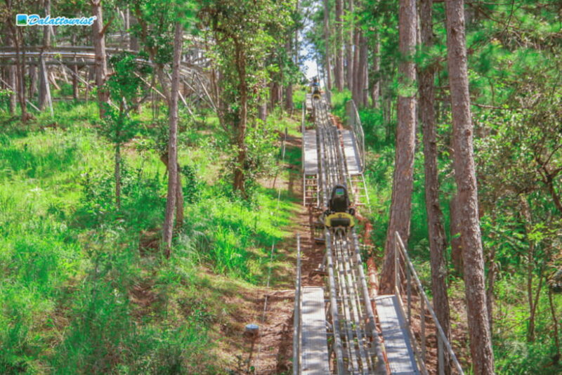 Da Lat: Datanla New Alpine Coaster Experience Entry Ticket - The Alpine Coaster: What to Expect
