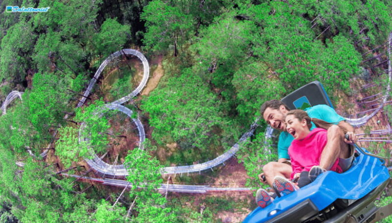 Da Lat: Datanla New Alpine Coaster Experience Entry Ticket - Other Attractions and Activities