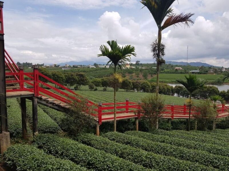Da Lat: Explore Countryside trip with Motorbike Rider - The Value Proposition