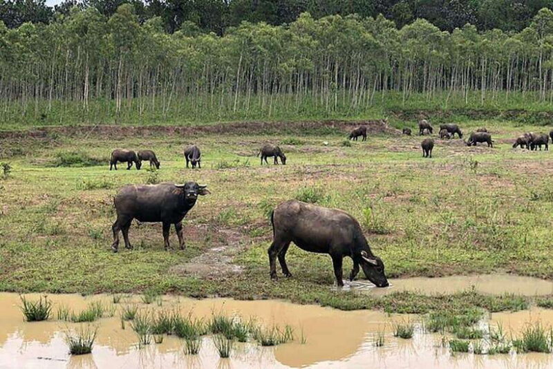 Da Lat Loop Tour On Private Car - Key Points