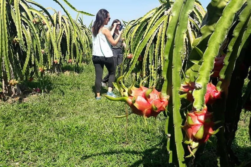 Da Lat Loop Tour On Private Car - FAQs