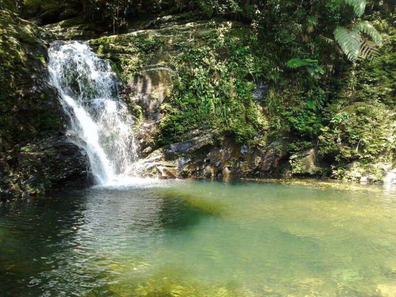 Da Nang: Bach Ma National Park Trek And Beach Retreat - The Sum Up: Who Will Love This Tour?