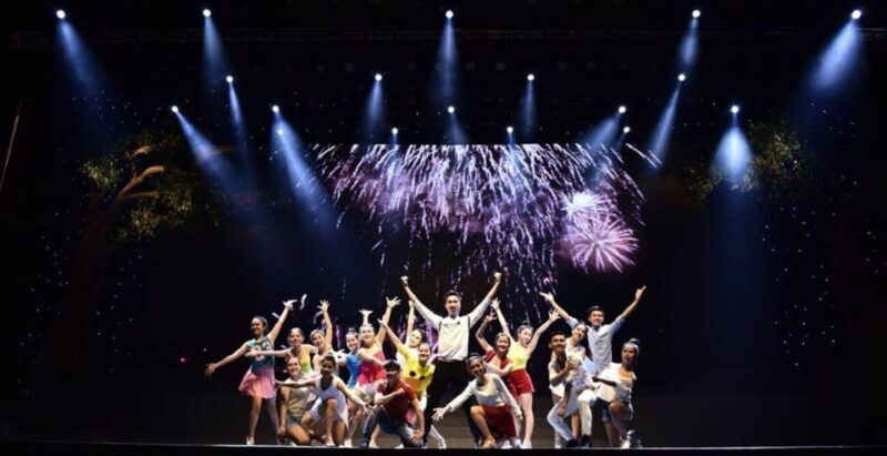 Da Nang: Charming Da Nang Show Ticket - The Cultural Significance