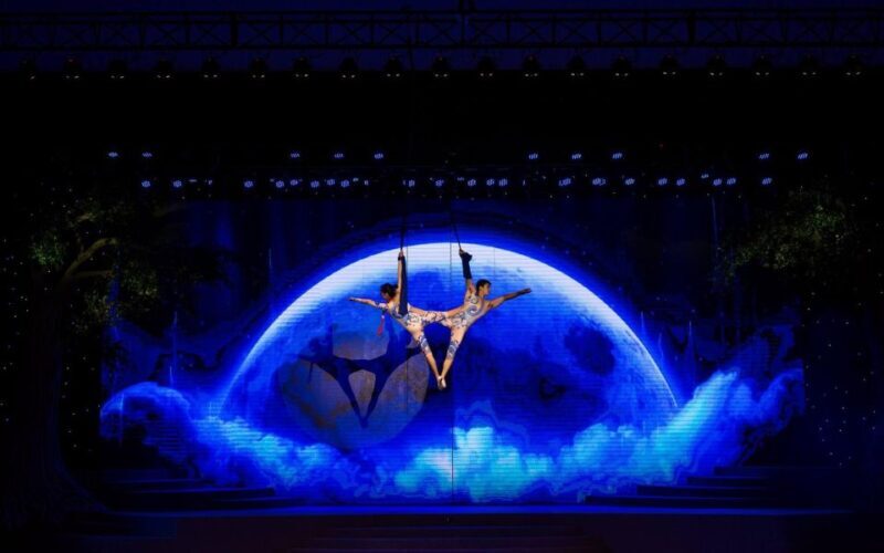 Da Nang: Charming Da Nang Show Ticket - Who Should Consider This Experience?