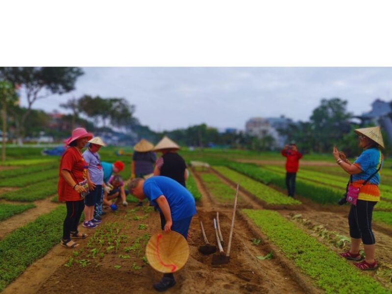 Da Nang Chef: Dive into Culture & Master Authentic Recipes - Tasting and Reflection