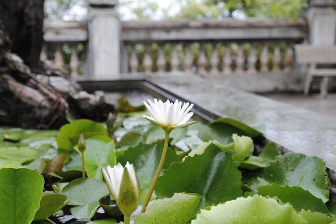 Da Nang Discovery With Cool Locals - Reviews and Authentic Feedback