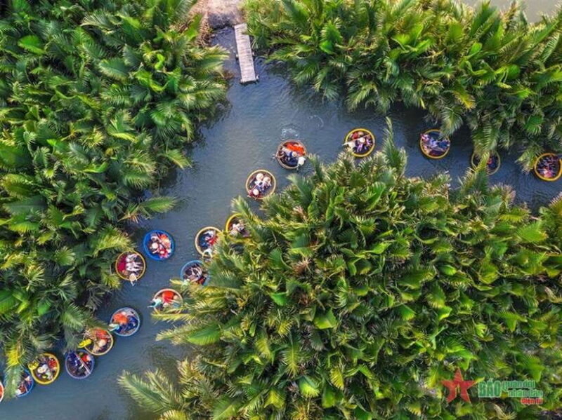 Da Nang: Hoi An Ancient Town and Coconut Forest Tour - Key Points