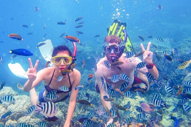 Da Nang/Hoi An: Cham Island Snorkeling, Sunbathing, Nice Beaches - What Makes This Tour Stand Out?
