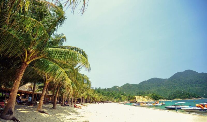 Da Nang/Hoi An: Cham Island Speedboat Tour with Snorkeling - The Sum Up