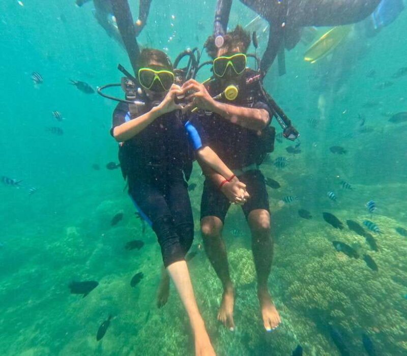 Da Nang/Hoi An: Cham Island Speedboat Tour with Snorkeling - Introduction: An Adventure for Curious Travelers