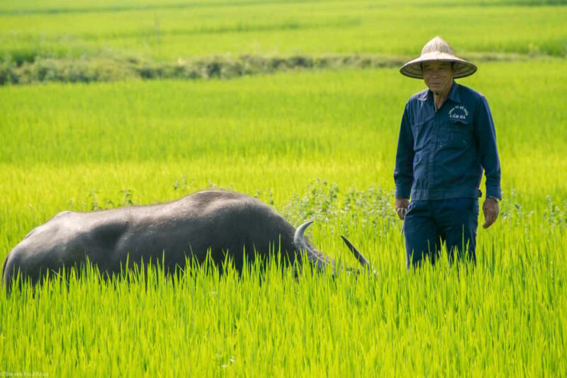 Da Nang: Hoi An, Da Nang, & Bà Nà Hills 4-Day Private Tour - Who Will Love This Tour?