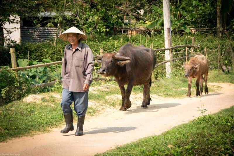 Da Nang: Hoi An, Da Nang, & Bà Nà Hills 4-Day Private Tour - FAQs