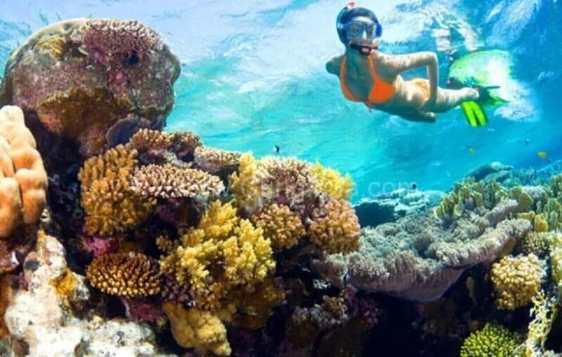 Da Nang/Hoi An: Diving in Cham Islands with an instructor - Introduction