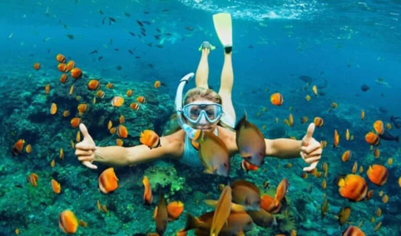 Da Nang/Hoi An: Diving in Cham Islands with an instructor - Transportation and Logistical Considerations