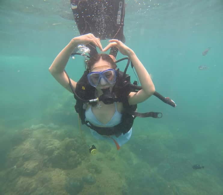 Da Nang/Hoi An: Diving in Cham Islands with an instructor - Final Thoughts: Who Is This Tour Best For?