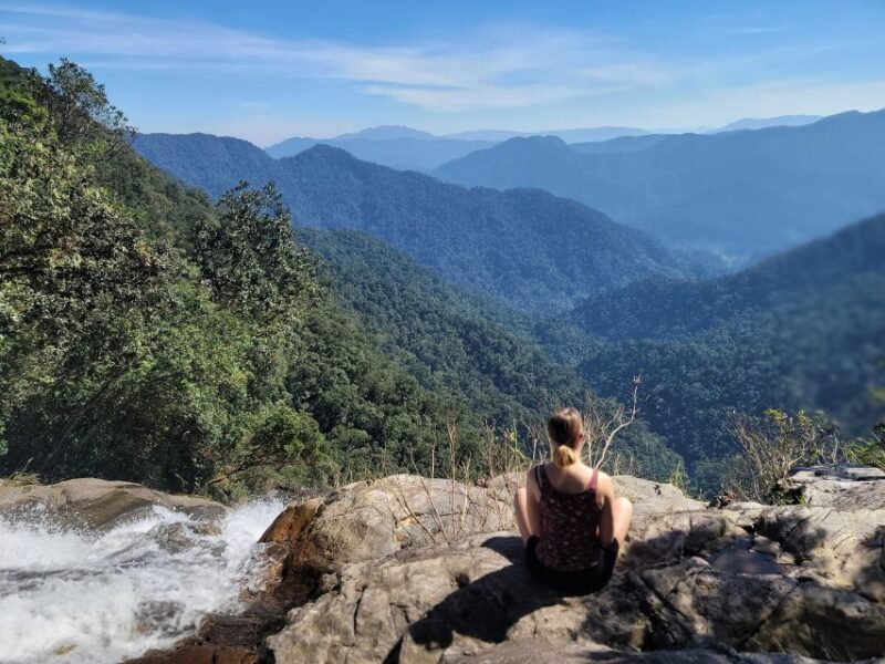 Da Nang/Hoi An to Hue via Bach Ma National Park Trekking - Final Thoughts: Who Will Love This Tour?