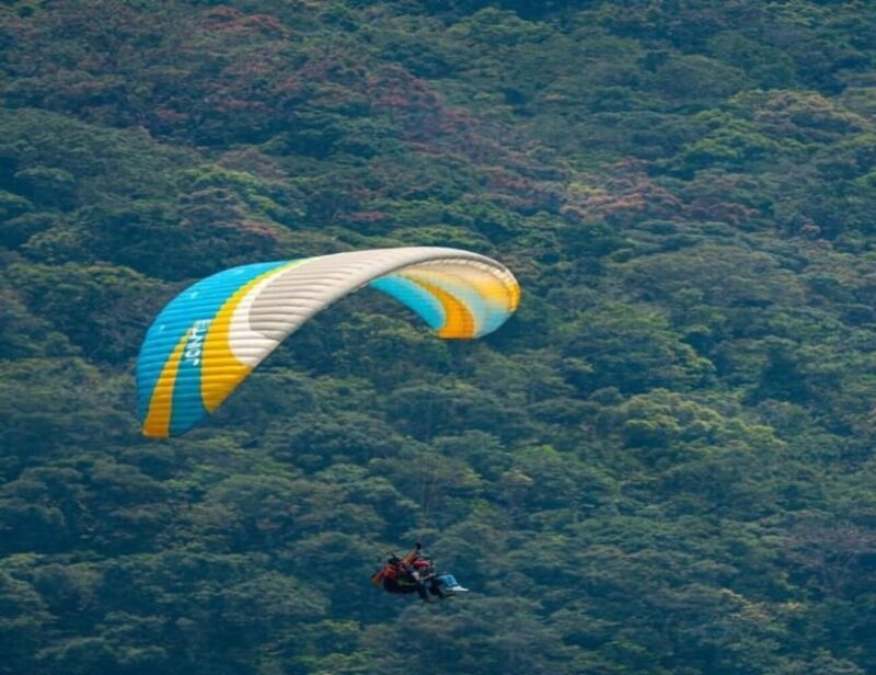 Da Nang: Monkey Mountain Paragliding Experience - Reviews and Real Traveler Insights
