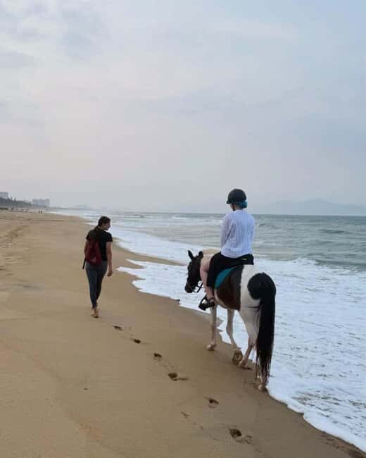 Da Nang: Nature & Horse-Riding Experience - Da Nang: Nature & Horse-Riding Experience—A Practical Escape into Vietnam’s Green Heart