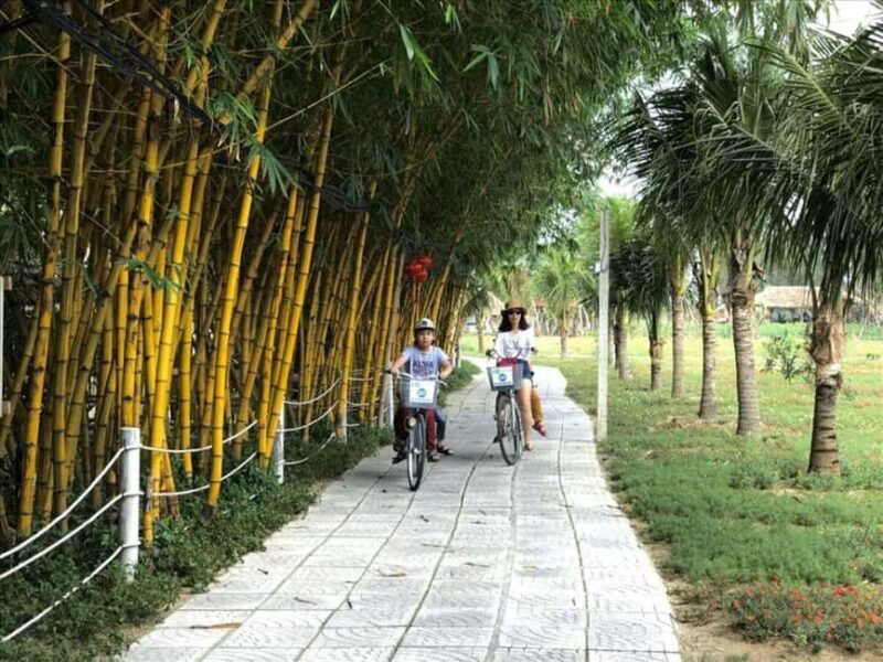 Da Nang: Nature & Horse-Riding Experience - Who Should Consider This Tour?
