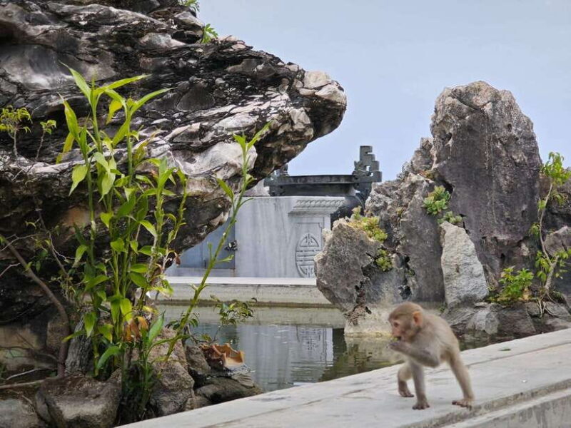 Da Nang : Private Car to Hue with Multi Sightseeing Stops - Authentic, Relaxed, and Scenic: Who Will Love This Tour?