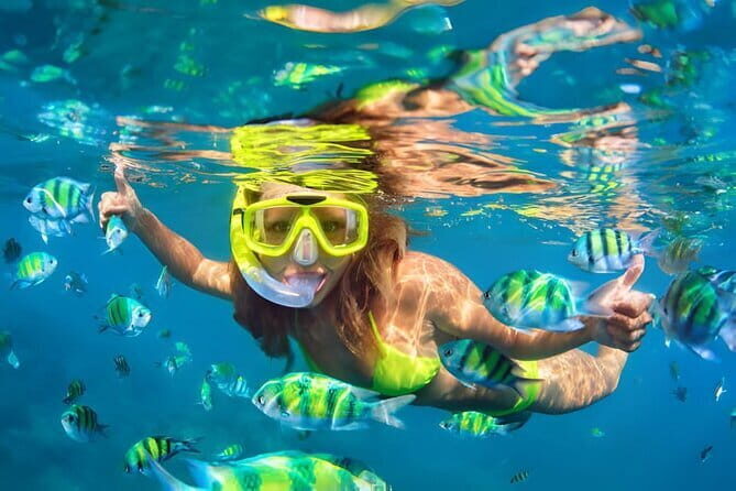 Da Nang: Son Tra Peninsula Exploration - Snorkeling, Fishing - A Closer Look at the Tour Experience
