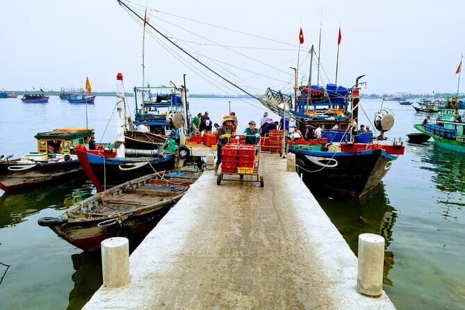 DA NANG to Hoi An Rural Villages and River Islands PRIVATE TOUR - Tra Que Vegetable Village: A Farmer’s Perspective
