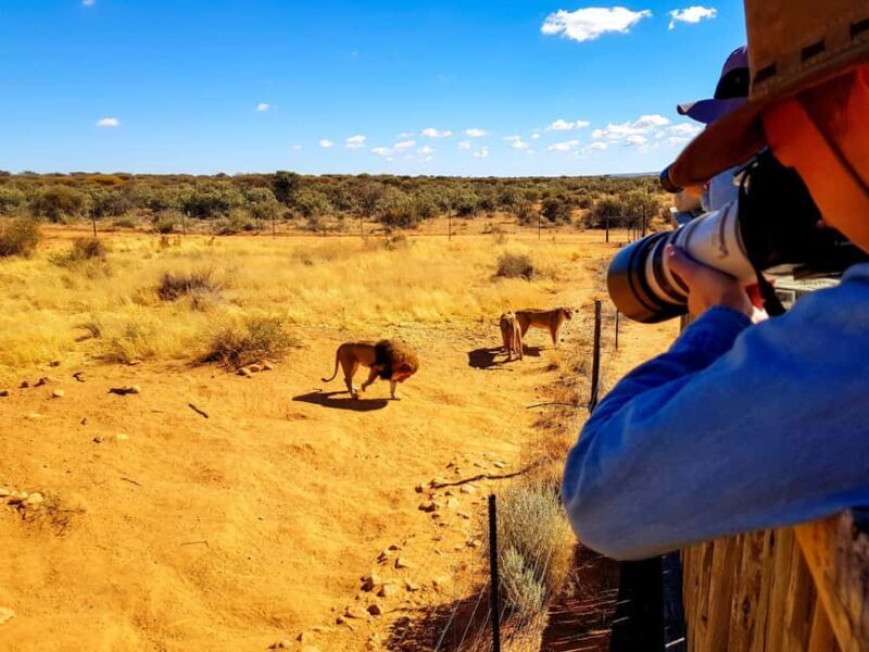 Daan Viljoen Sunrise Private Tour: A Wildlife Discovery Hike - Key Points