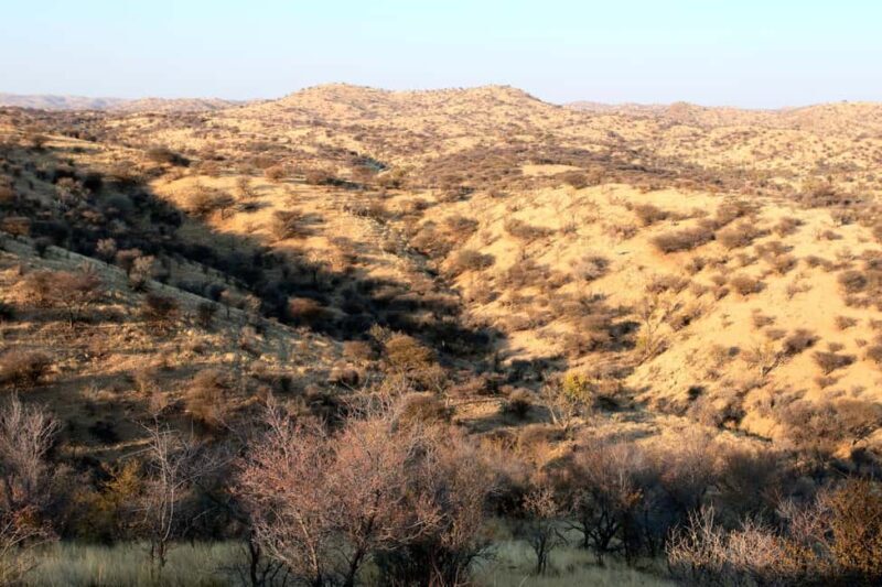 Daan Viljoen Sunrise Private Tour: A Wildlife Discovery Hike - Exploring Daan Viljoen Game Reserve at Sunrise