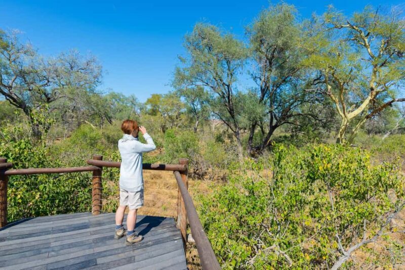 Daan Viljoen Sunrise Private Tour: A Wildlife Discovery Hike - What Travelers Say