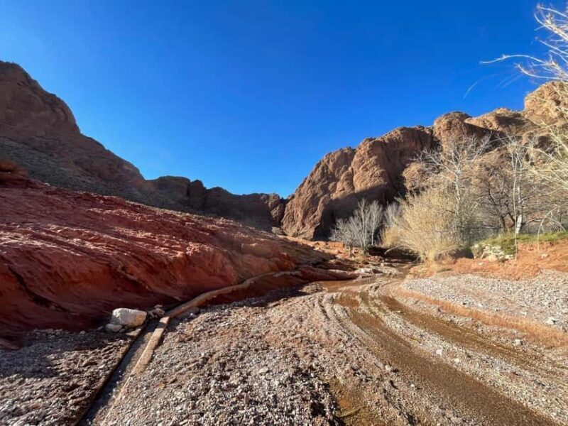 Dades Gorges: 2-Day Monkey Toes Trek with Meals and Camping - Potential Drawbacks to Consider