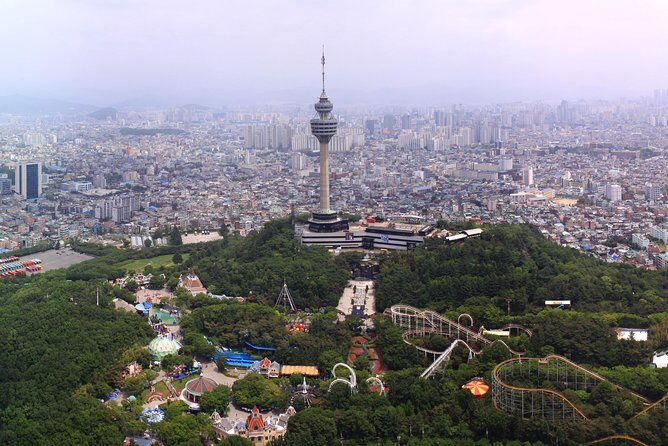 Daegu Hop on Hop off City Tour Bus Discount Ticket () - Practical Considerations for Travelers