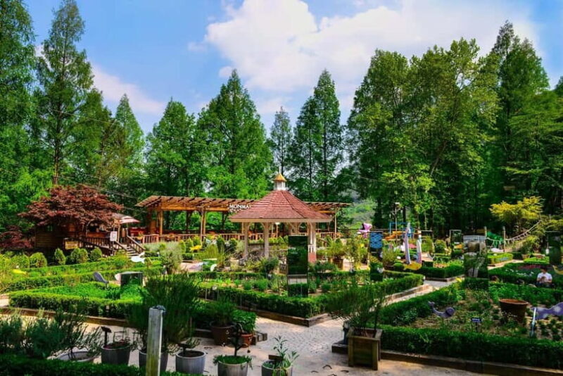Daegu: Private Taxi Tour Car Charter - Who Should Consider This Experience?