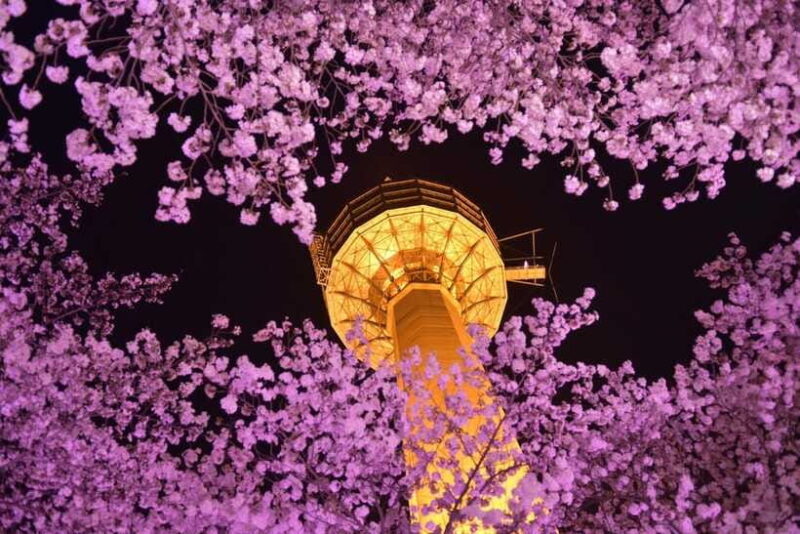 Daegu: Private Taxi Tour Car Charter - Final Thoughts