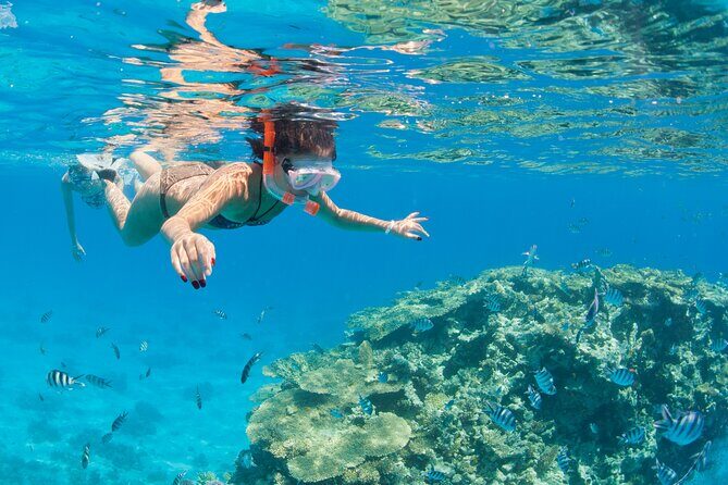 Dahab Snorkeling & Canyon Salama Safari from Sharm Elsheikh - Frequently Asked Questions