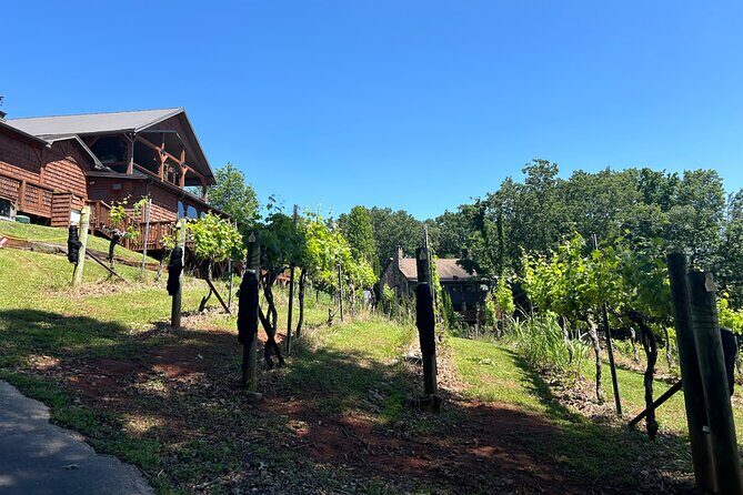 Dahlonega Wine & Dine Private Tour from Atlanta - FAQs About the Dahlonega Wine & Dine Private Tour
