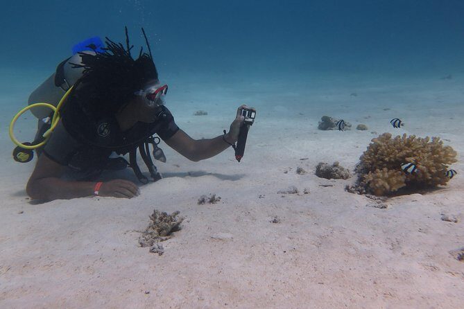 Daily 2 Dives with Equipment from Hurghada - A Deep Dive into the Experience