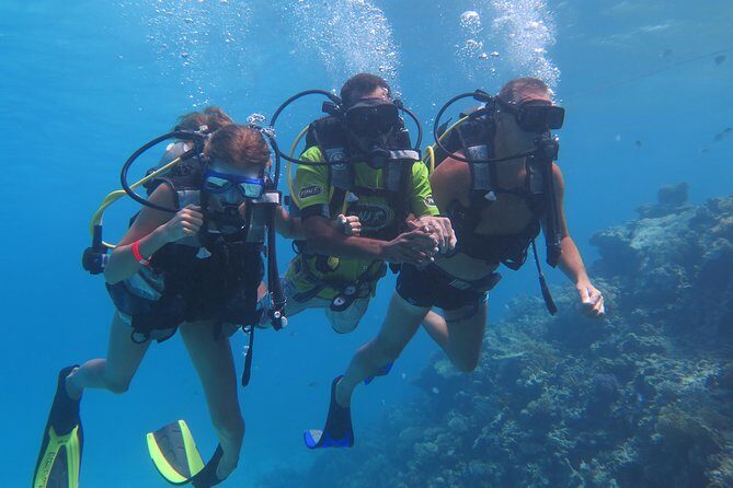 Daily 2 Dives with Equipment from Hurghada - Authentic Traveler Perspectives
