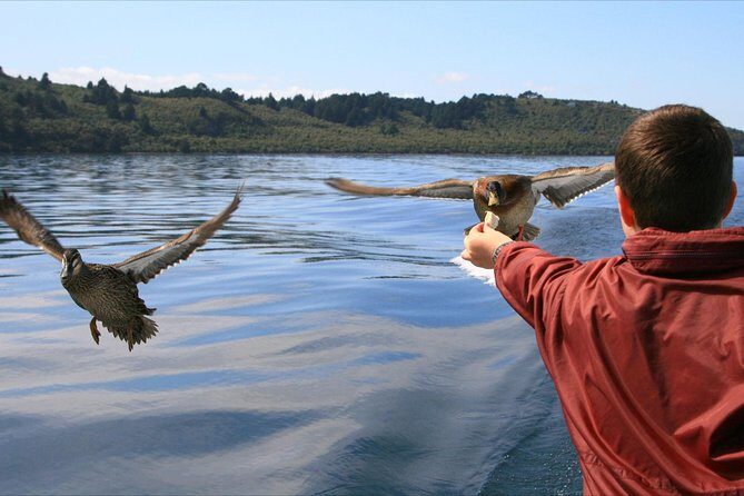 Daily Scenic Maori Rock Carving Cruise Taupo - What’s Included and What You Might Want to Add