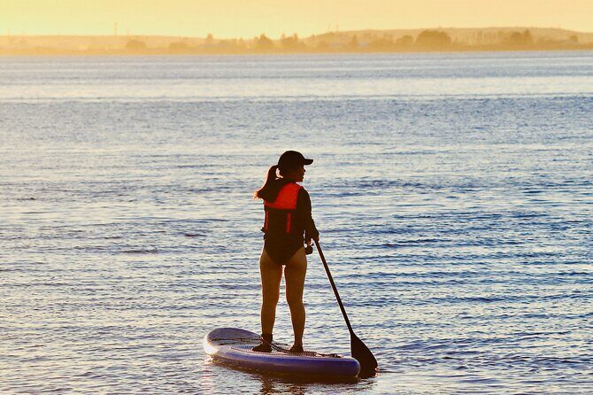 Daily SUP Paddleboard Rentals Package in Metro Vancouver - Why Choose This SUP Rental in British Columbia?