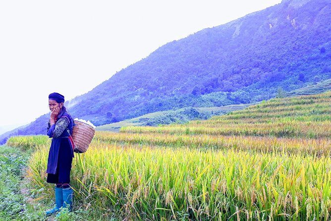 Daily Tour: Sapa Trekking in Muong Hoa valley, Bamboo forest - The Itinerary: What to Expect