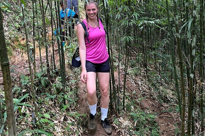 Daily Tour: Sapa Trekking in Muong Hoa valley, Bamboo forest - Summary