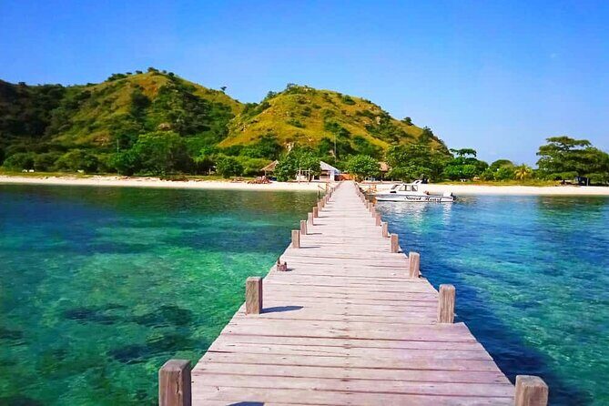 Daily Trip Highlight Komodo Archipelago by Speed Boat - The Sum Up: Is This Tour Worth It?